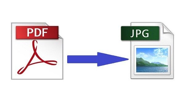 Guide On Using PDF Bear's PDF To JPG Converter Tool