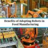 Benefits of Adopting Robots in Food Manufacturing