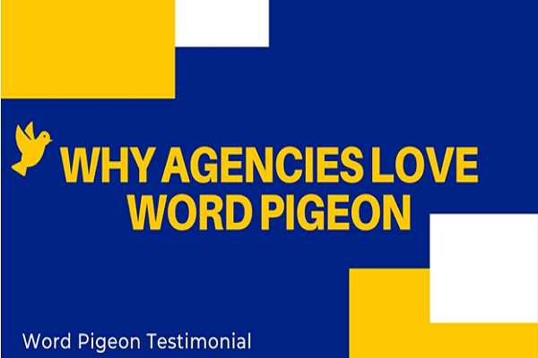 Word pigeon