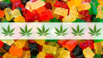 Gummies – Part Of CBD World